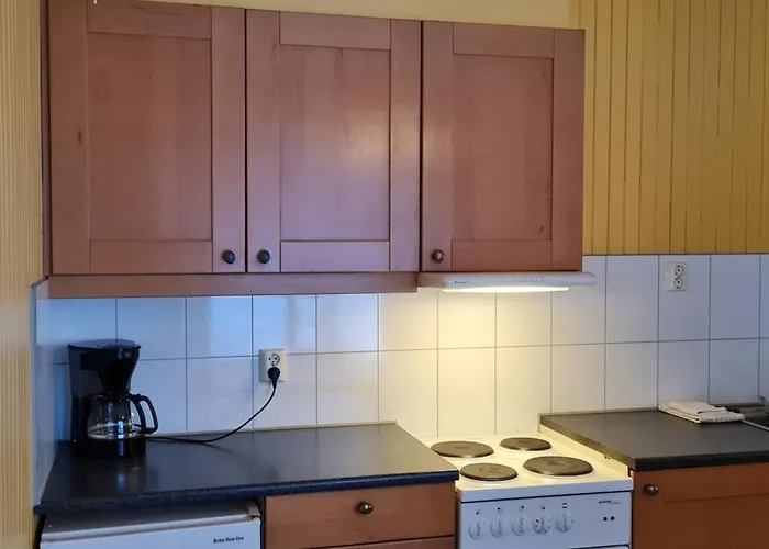 Laerdal Ferie- Og Fritidspark 3*