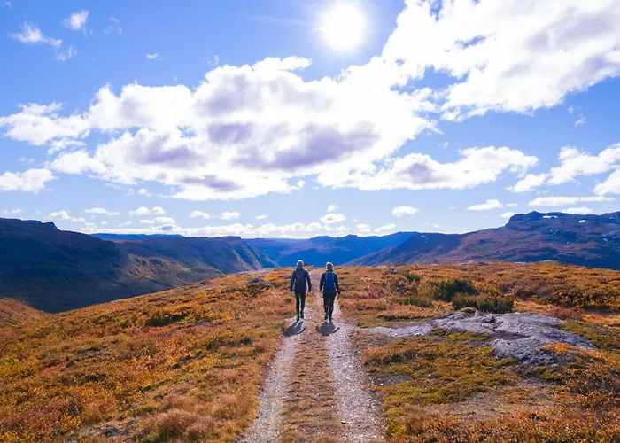 Laerdal Ferie- Og Fritidspark 3* Lærdalsøyri